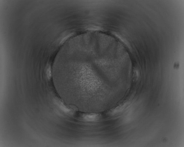 X0000092230479200710051222