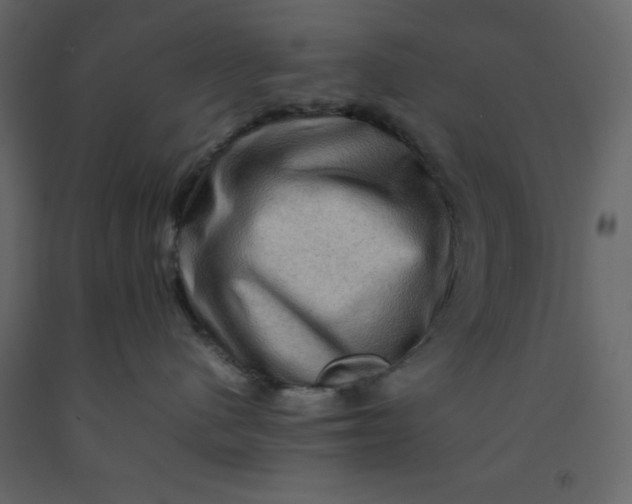 X0000092230480200710051222