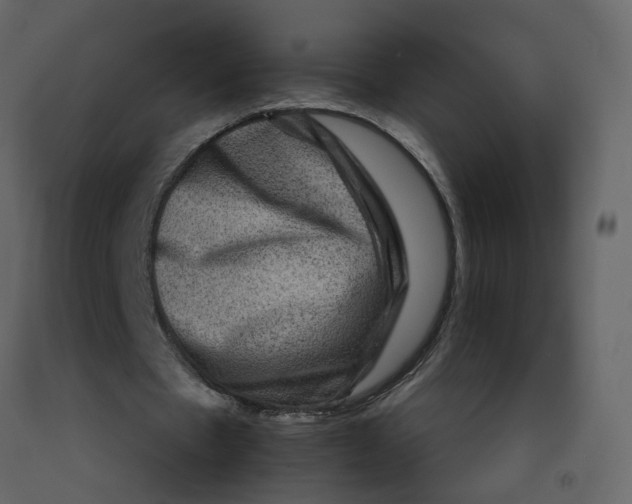 X0000092230481200710051222