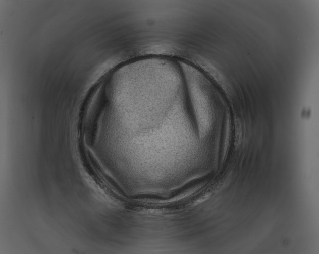 X0000092230482200710051221