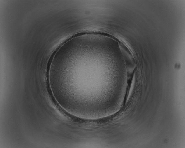 X0000092230485200710051221