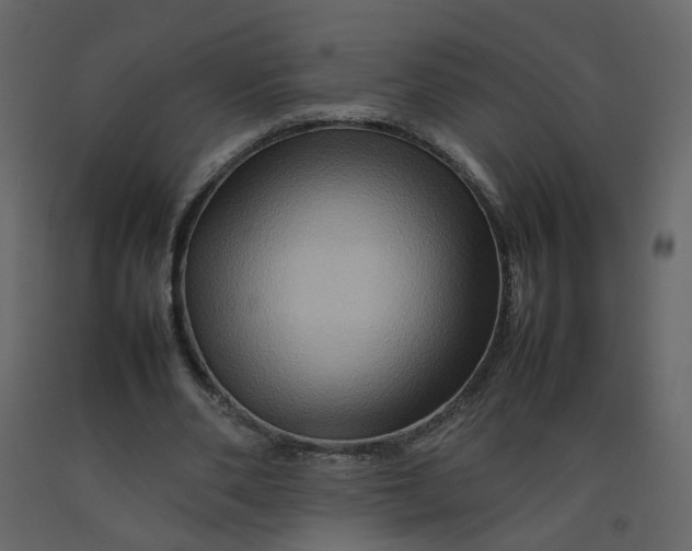 X0000092230486200710051221