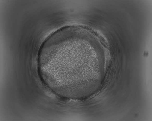 X0000092230487200710051221