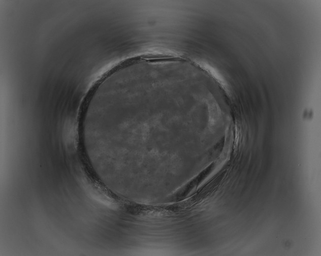 X0000092230488200710051221