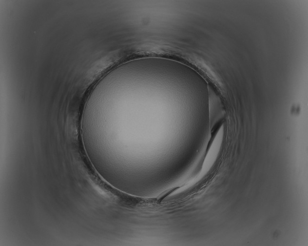 X0000092230489200710051221