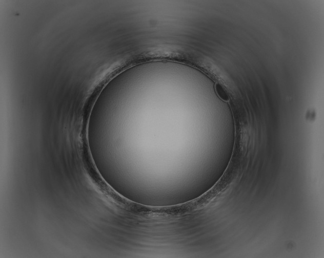 X0000092230490200710051221