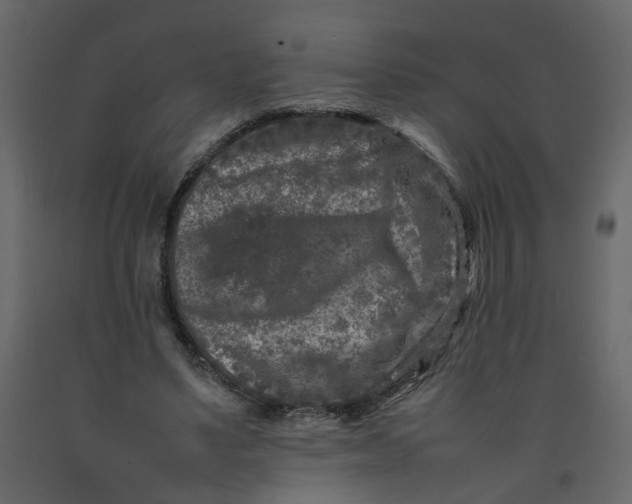 X0000092230491200710051221