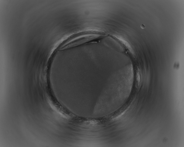 X0000092230492200710051221