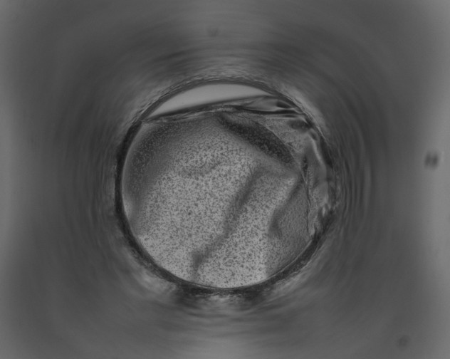 X0000092230493200710051221