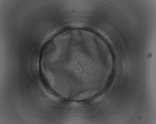 X0000092230494200710051221