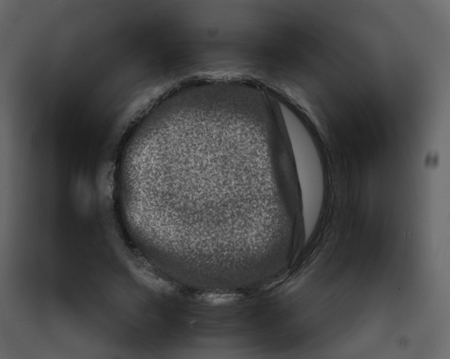 X0000092230495200710051221