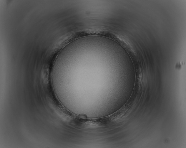 X0000092230498200710051221