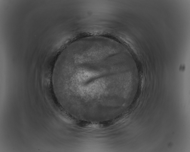 X0000092230499200710051221