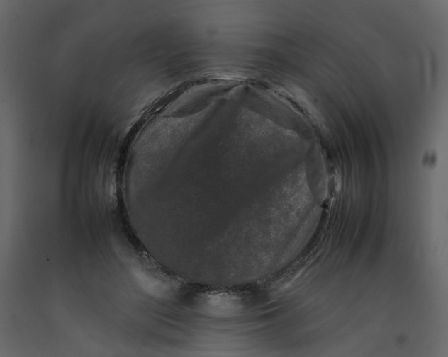 X0000092230500200710051221