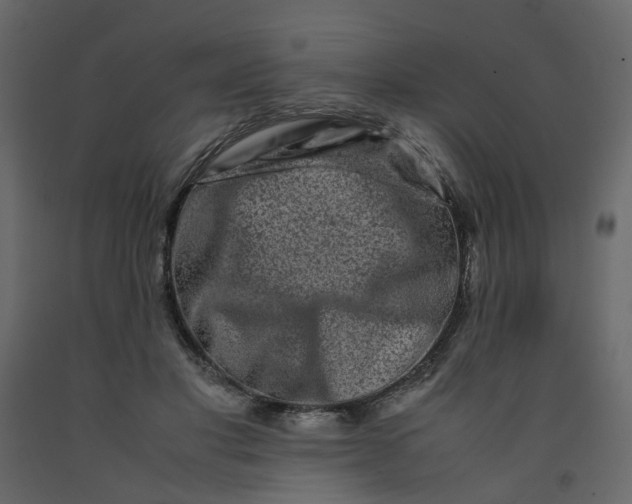 X0000092230501200710051221