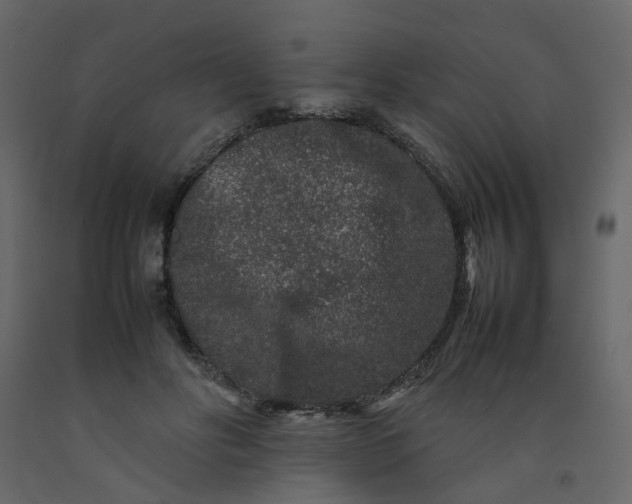 X0000092230502200710051221