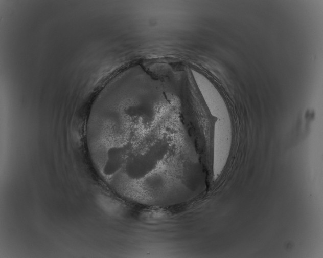 X0000092230503200710051221