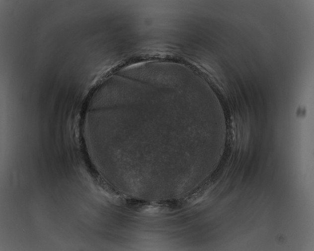 X0000092230504200710051221