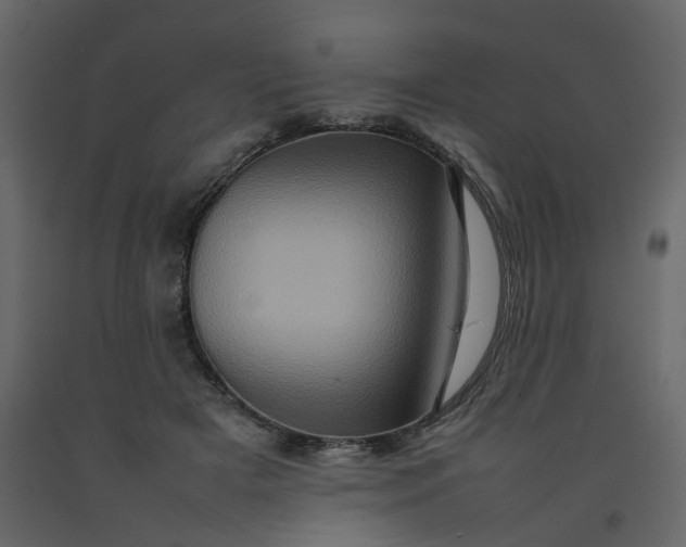 X0000092230505200710051221