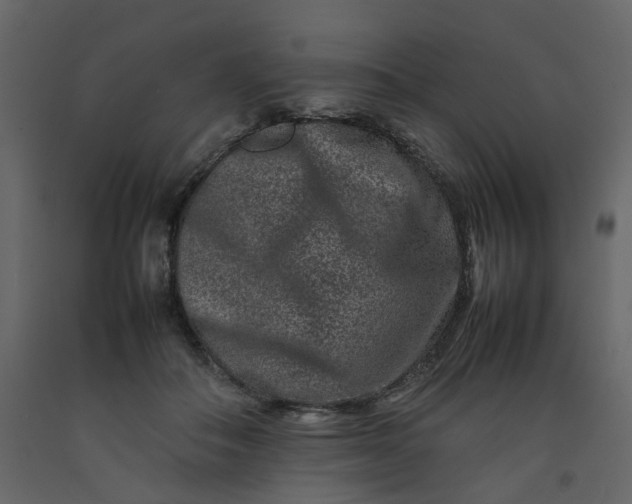 X0000092230506200710051221