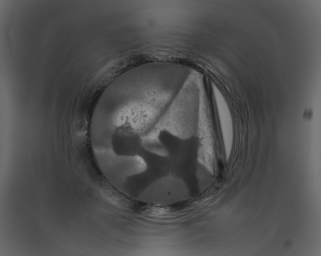 X0000092230507200710051221