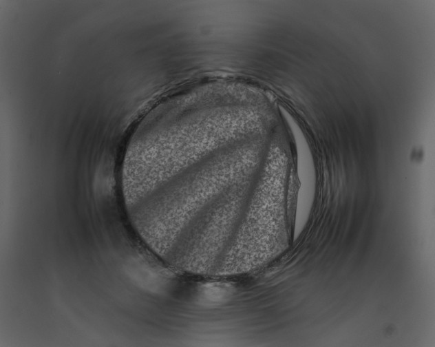 X0000092230508200710051221