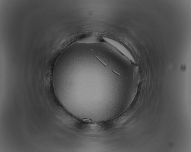 X0000092230509200710051221