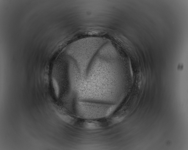 X0000092230510200710051221