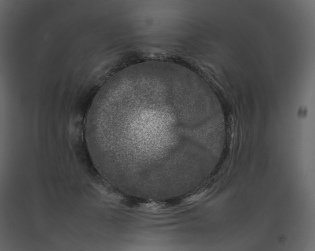 X0000092230511200710051221