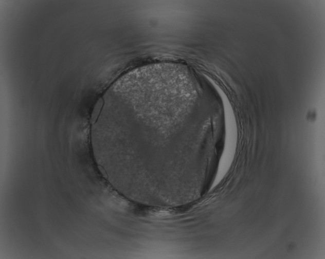 X0000092230513200710051221