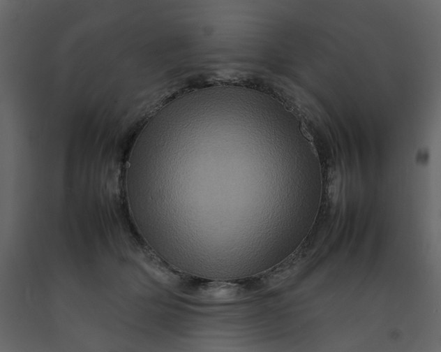 X0000092230514200710051221