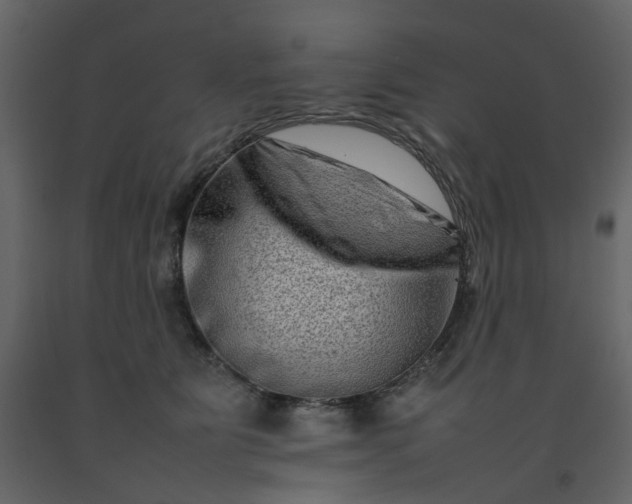 X0000092230515200710051221