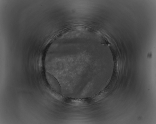 X0000092230516200710051221