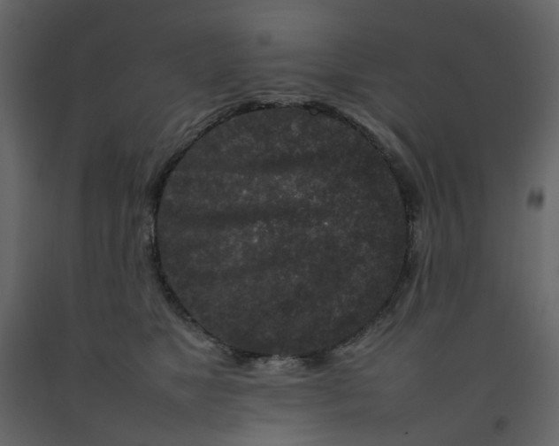 X0000092230517200710051221