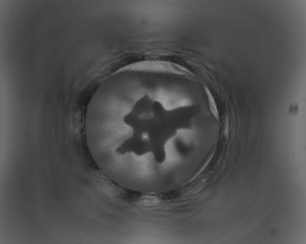 X0000092230519200710051221