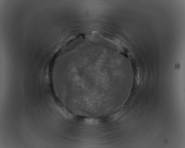 X0000092230520200710051221