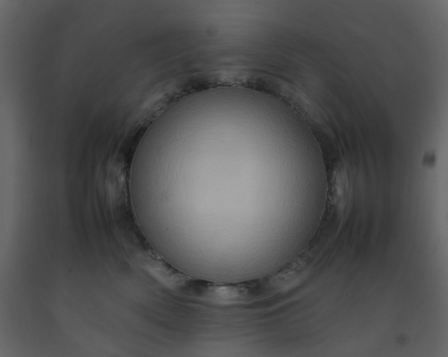 X0000092230522200710051221