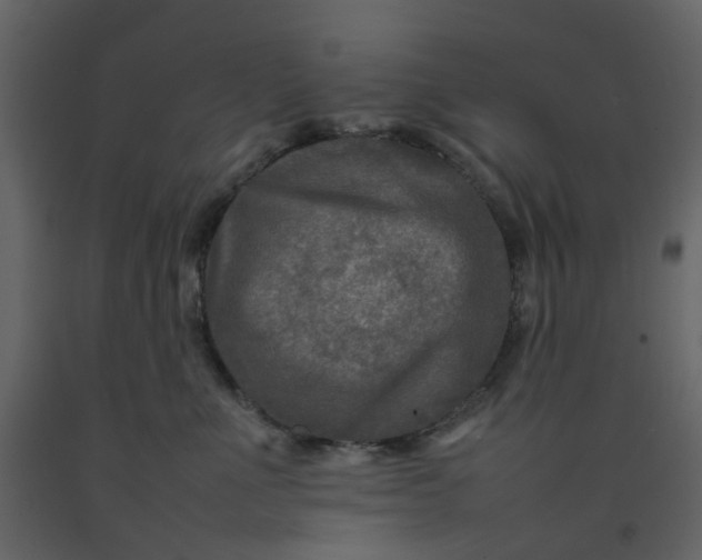 X0000092230523200710051221