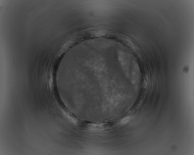 X0000092230524200710051221