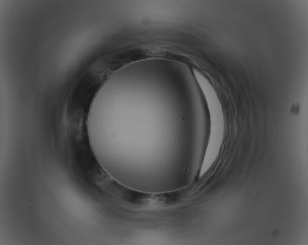 X0000092230525200710051221