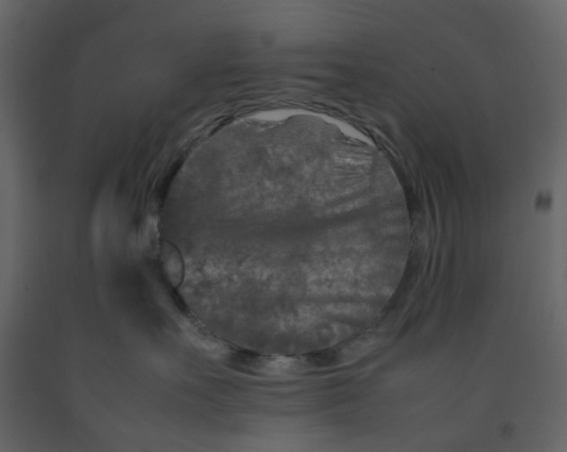 X0000092230527200710051221