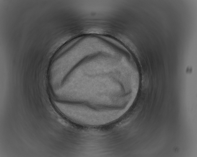 X0000092230529200710051220