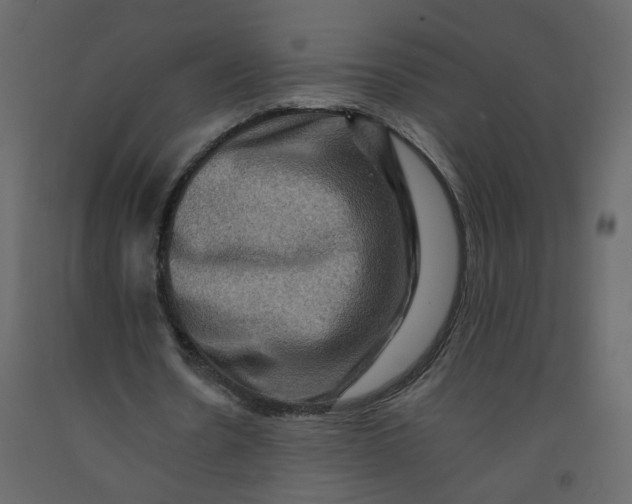 X0000092230530200710051220