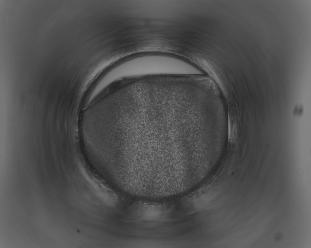 X0000092230531200710051220