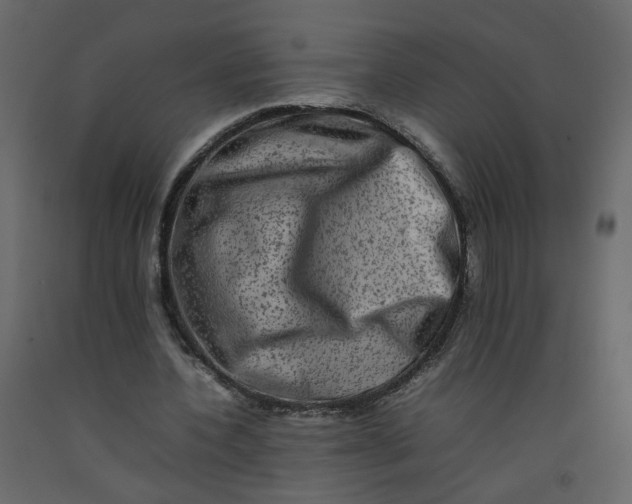 X0000092230532200710051220