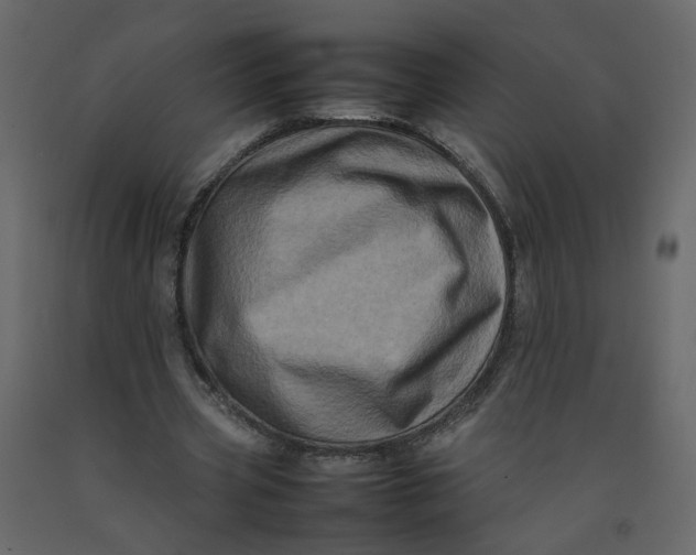 X0000092230533200710051220