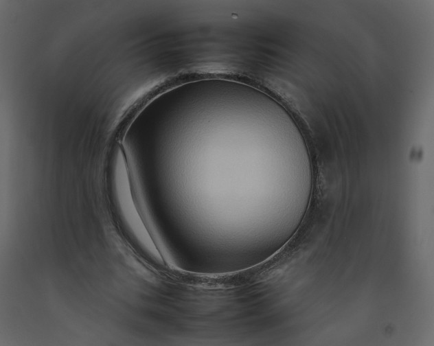 X0000092230535200710051220