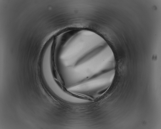 X0000092230536200710051220