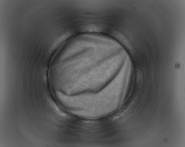 X0000092230537200710051220