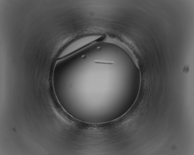 X0000092230538200710051220